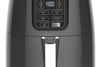 Best Air Fryers for Easy and Healthy Cooking
