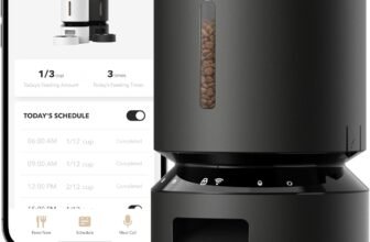 Best Automatic Cat Feeders