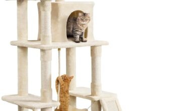5 Best Cat Trees in 2026 (Top Picks for Indoor Cats)