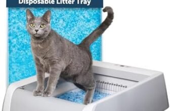 Best Cat Litter Boxes in 2026: Easy-Clean Picks for Odor Control, Big Cats, and Faster Scooping