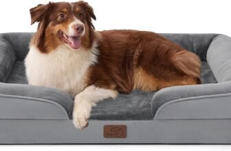 Best Dog Beds in 2026: Cozy, Washable Picks for Small Dogs, Large Dogs, and Senior Pets