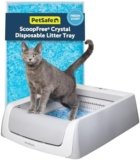 Best Cat Litter Boxes in 2026: Easy-Clean Picks for Odor Control, Big Cats, and Faster Scooping
