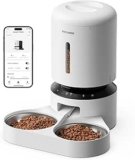 Best Automatic Cat Feeders for Multiple Cats in 2026: Smart Feeders That Reduce Food Fights