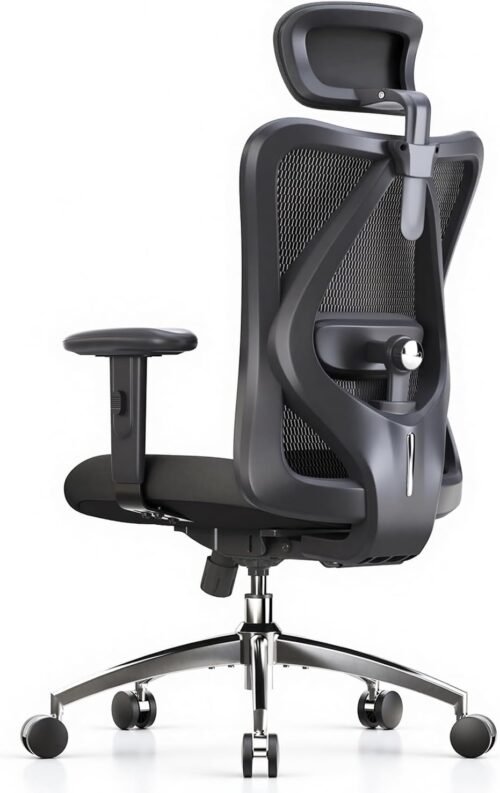 SIHOO Ergonomic Office Chair