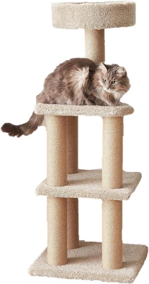 Amazon Basics Multi-Level Cat Tree with Scratching Posts