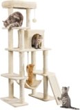 5 Best Cat Trees in 2026 (Top Picks for Indoor Cats)
