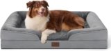 Best Dog Beds in 2026: Cozy, Washable Picks for Small Dogs, Large Dogs, and Senior Pets